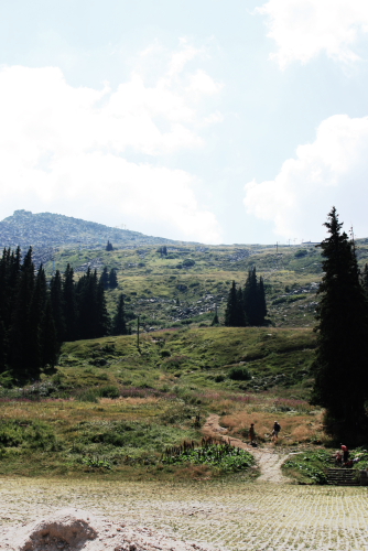 f0093592_1642262.jpg
