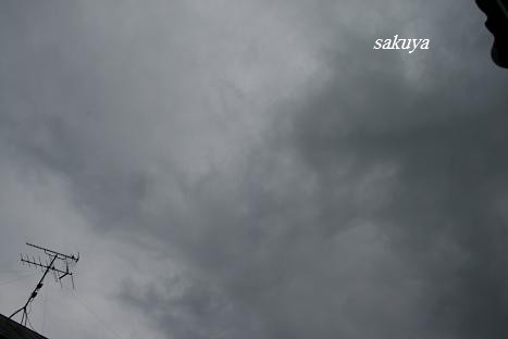 e0122194_16272741.jpg