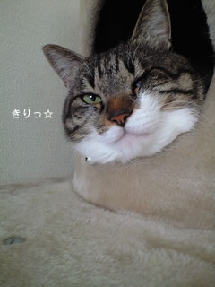 c0035001_16292876.jpg