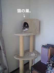 c0035001_1629742.jpg