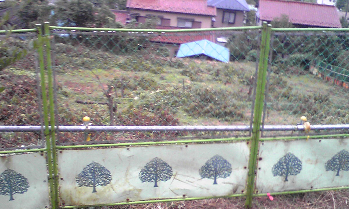 c0100901_0525591.jpg