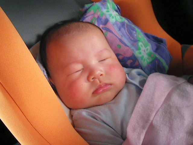 f0038407_19585520.jpg