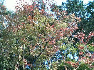 f0127408_23522710.jpg