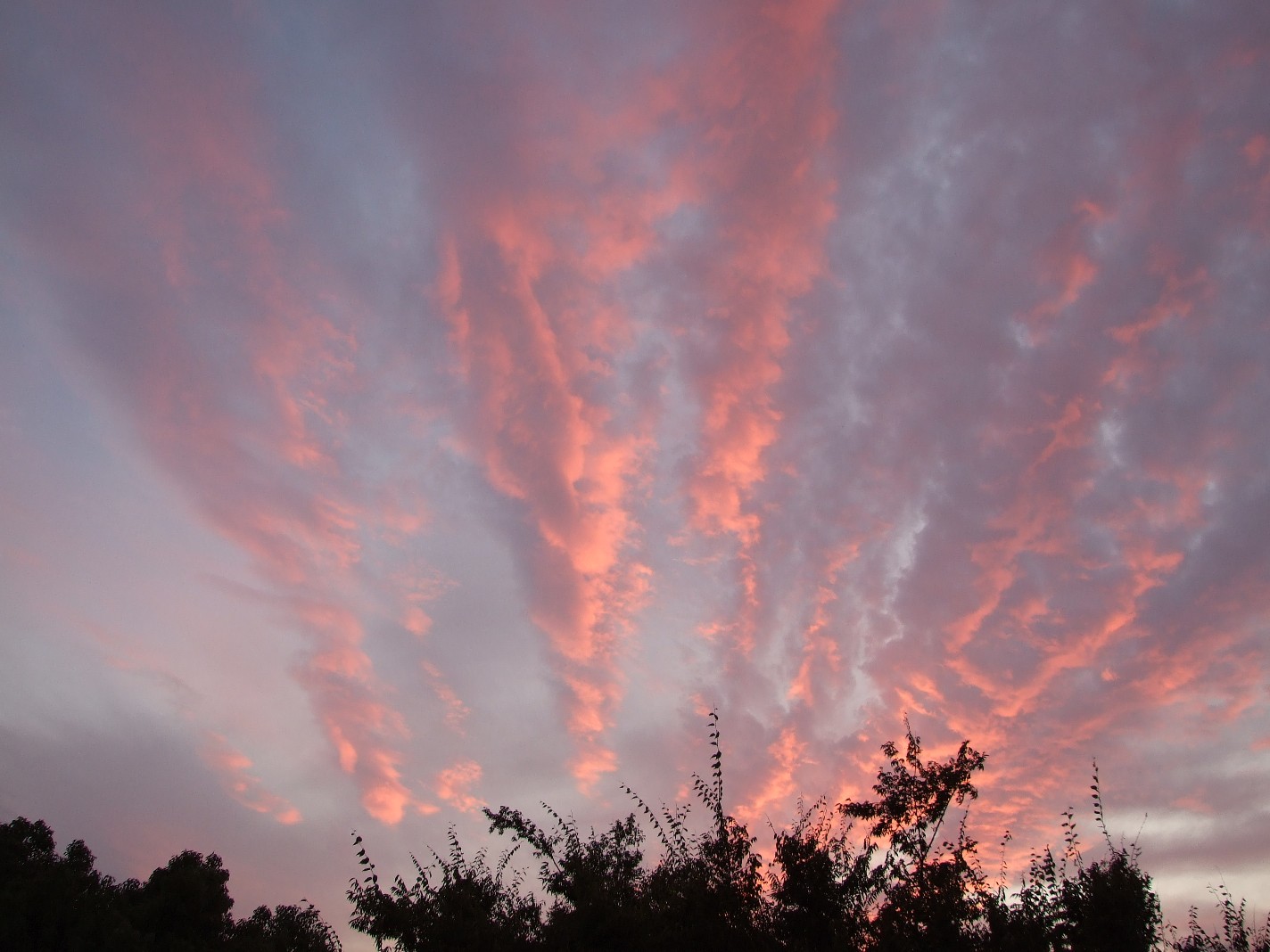 b0061010_20494169.jpg
