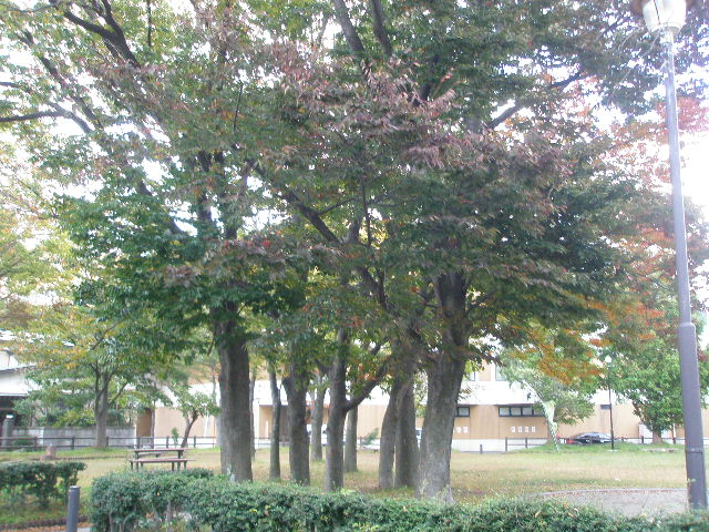 f0190010_21474011.jpg