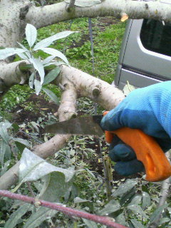 f0031013_9353419.jpg