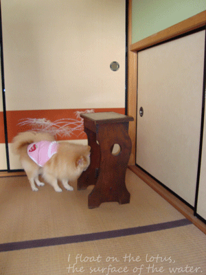 b0075318_2252831.gif