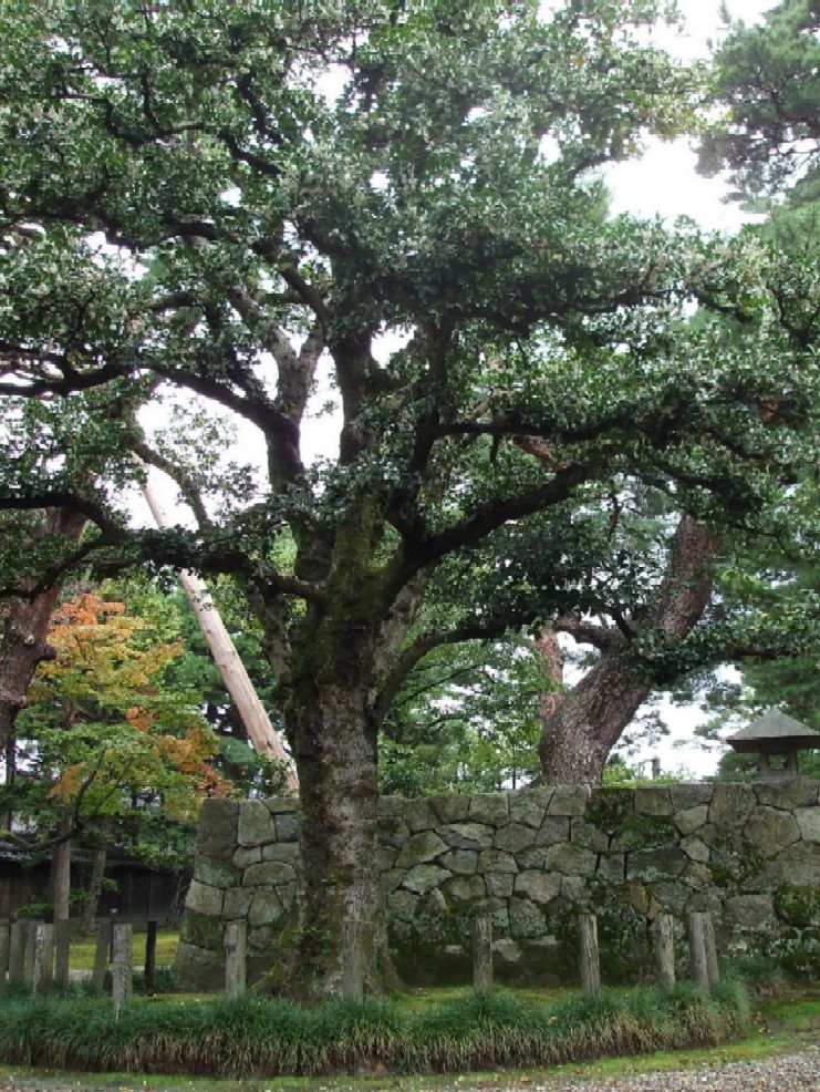 e0135219_14192812.jpg