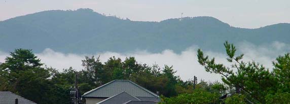 e0083820_1242120.jpg