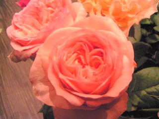 a0052621_1823141.jpg