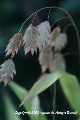 c0045227_2344214.jpg