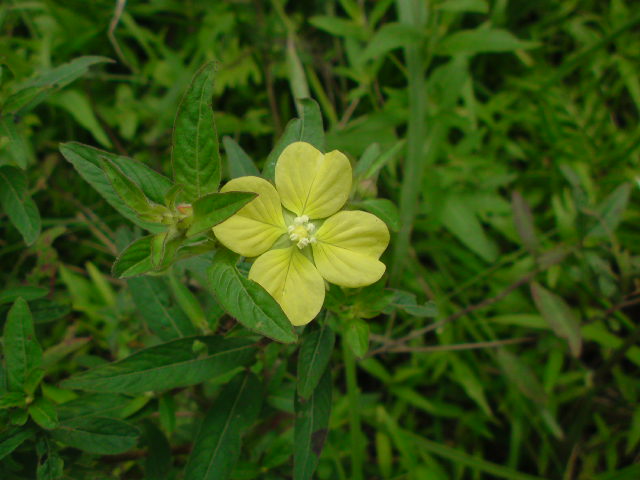 e0016828_18564635.jpg