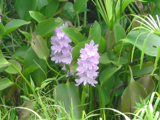 e0016828_18575279.jpg