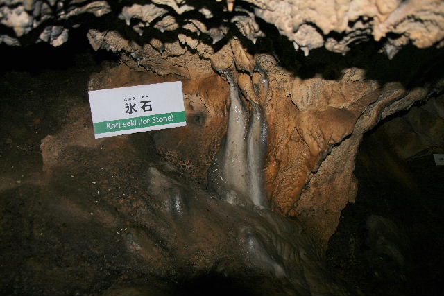 e0064133_23405919.jpg