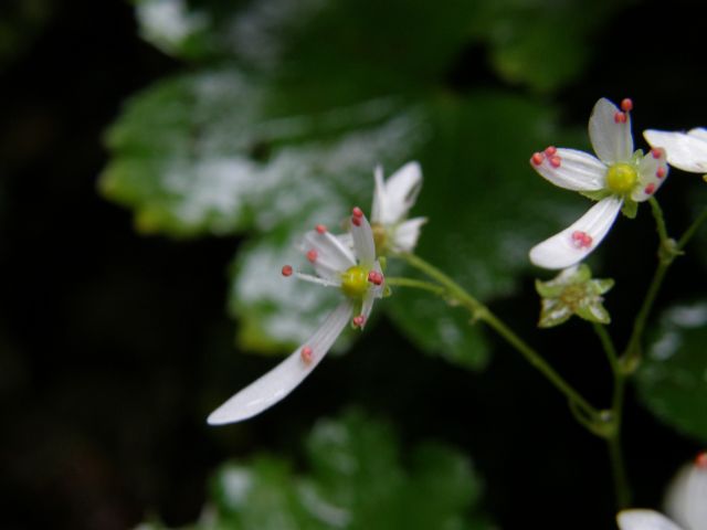 e0145033_2042960.jpg