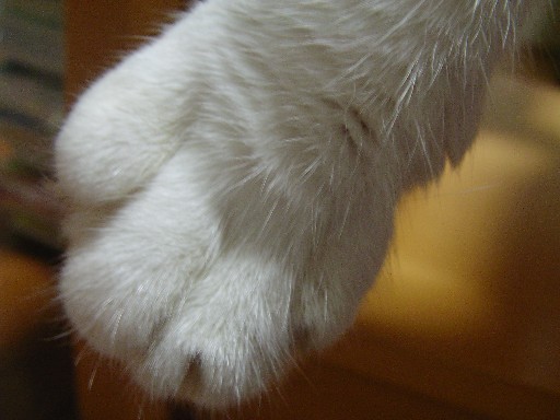 f0002833_10414329.jpg
