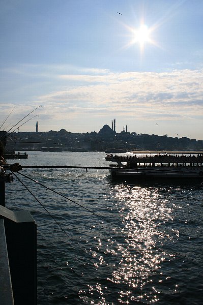 c0156438_84988.jpg