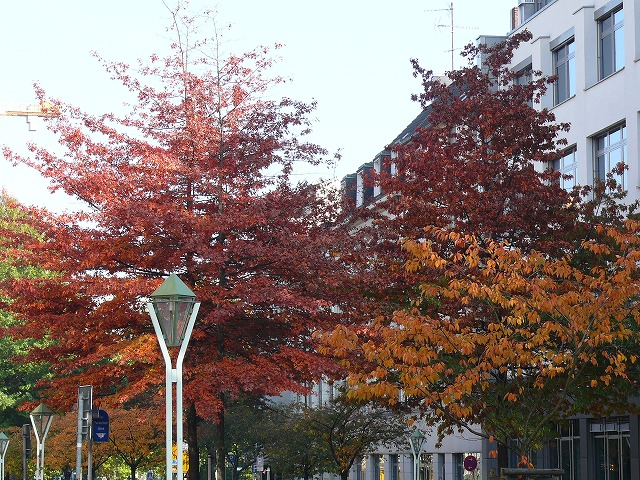 c0153740_2236559.jpg