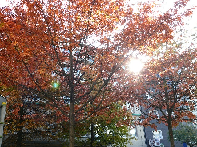 c0153740_22374671.jpg