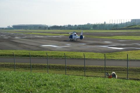 e0143442_2195299.jpg