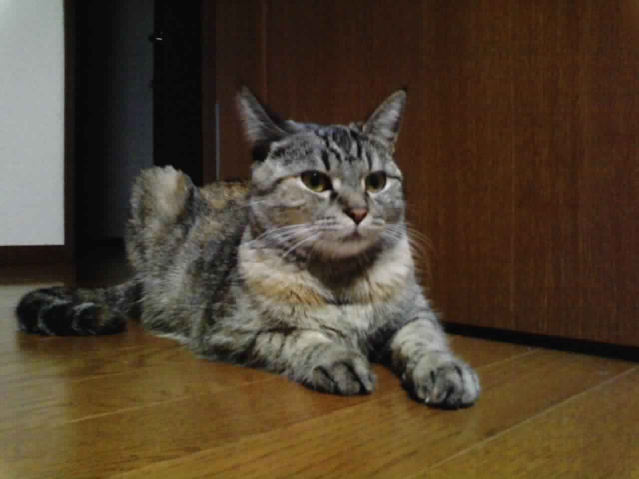 f0032042_1715254.jpg