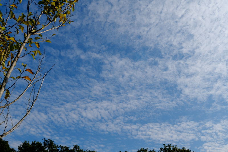 b0036743_18344142.jpg