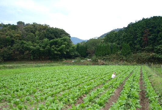c0072843_18552797.jpg