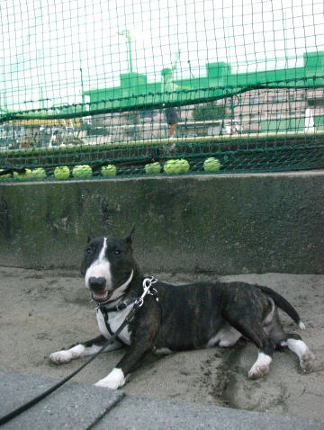 f0094843_044596.jpg