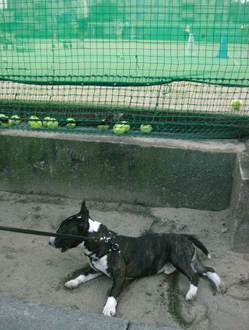 f0094843_071047.jpg