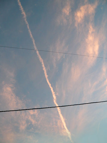 c0131544_6333366.jpg