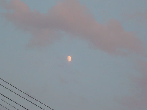 c0131544_633524.jpg