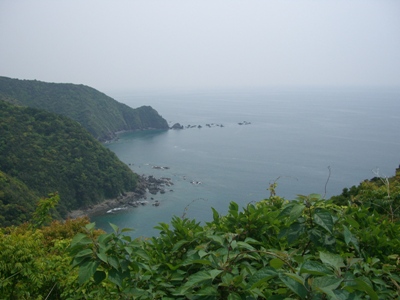 a0100946_237476.jpg