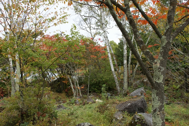b0140347_9432249.jpg