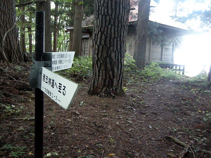 c0077847_17182019.jpg