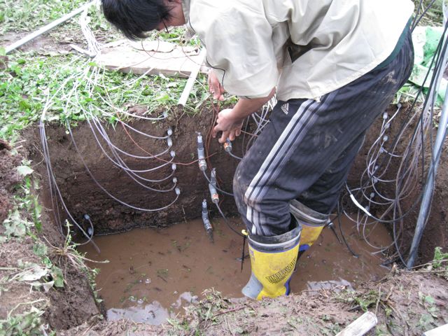 d0081650_9203112.jpg
