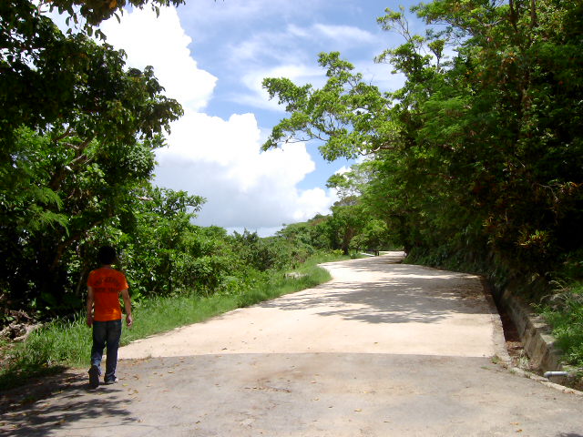 a0048851_055627.jpg