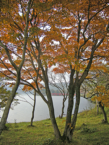 a0001354_21311812.jpg