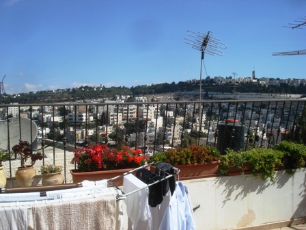 f0193757_8443192.jpg