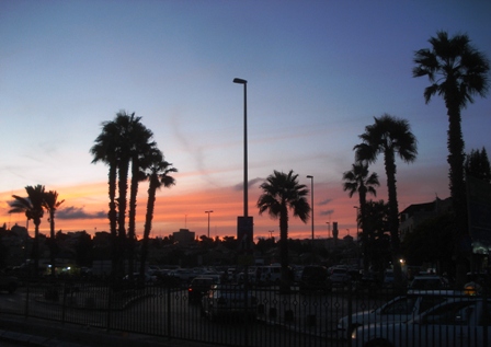 f0193757_973775.jpg