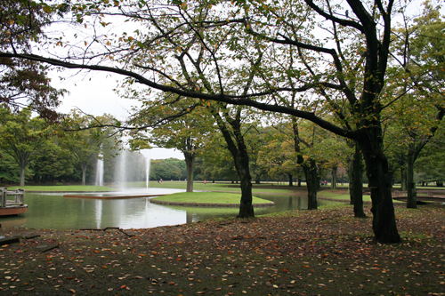 a0003259_2027911.jpg