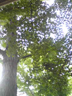 d0087062_16284118.jpg
