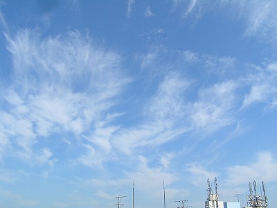 b0145863_192529.jpg
