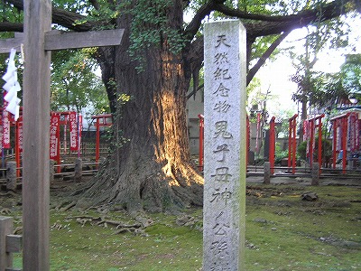 b0145863_19355790.jpg