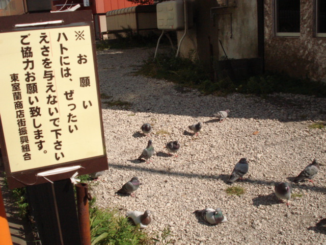 f0132565_10563245.jpg