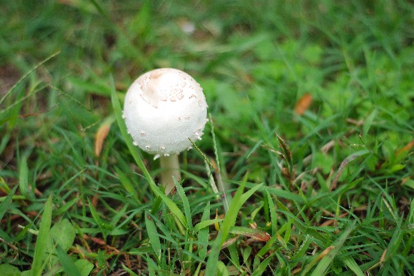 e0020166_9515511.jpg