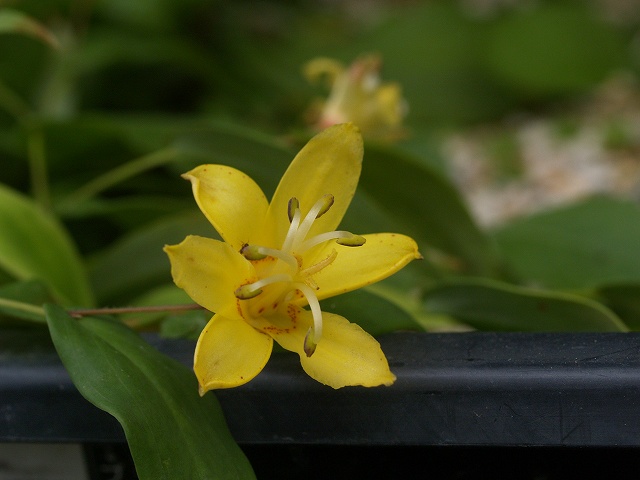 d0025568_8134139.jpg