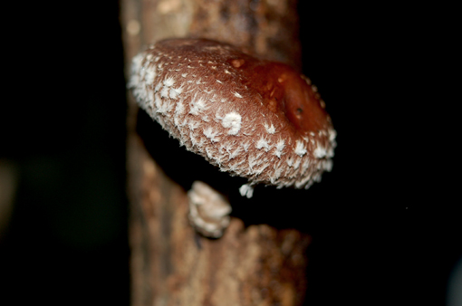 d0148073_15552223.jpg