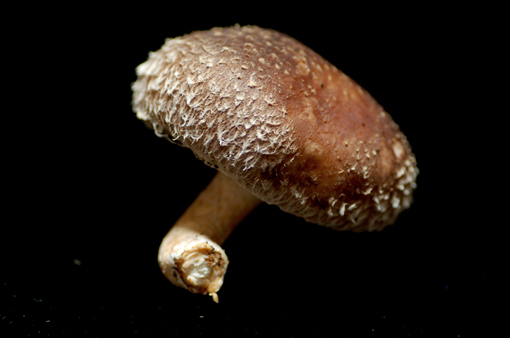 d0148073_15554416.jpg