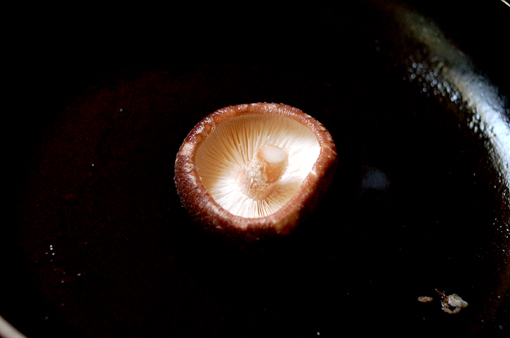 d0148073_15564094.jpg