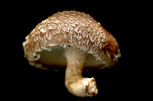 d0148073_1556624.jpg